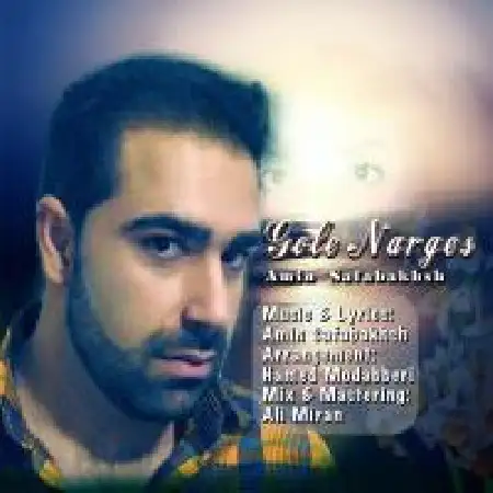 دانلود اهنگ امین صفابخش گل نرگس