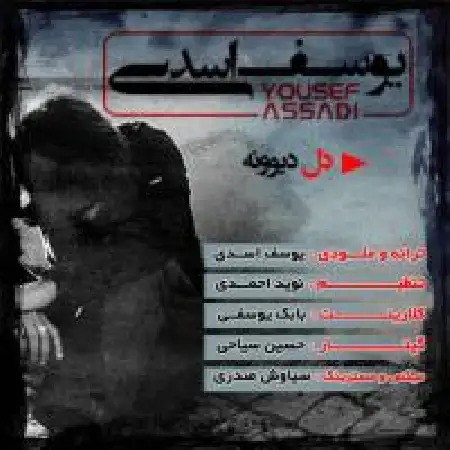 دانلود اهنگ یوسف اسدی دل دیوونه