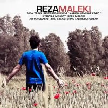 دانلود آلبوم تک اهنگ ها از رضا ملکی