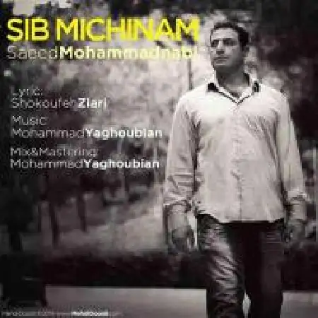 دانلود اهنگ سعید محمدنبی سیب میچینیم