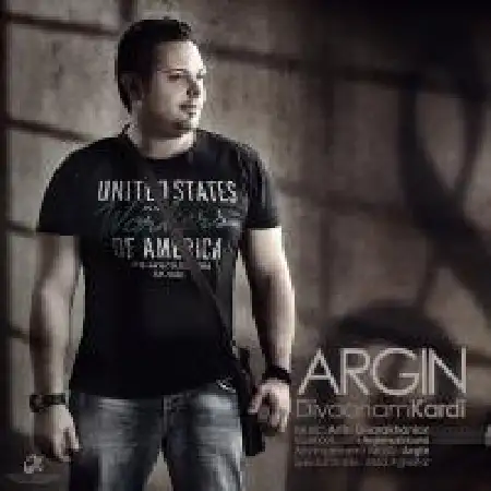 دانلود اهنگ آرگین قره خانیان دیونم کردی