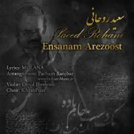 دانلود اهنگ سعید روحانی انسانم آرزوست