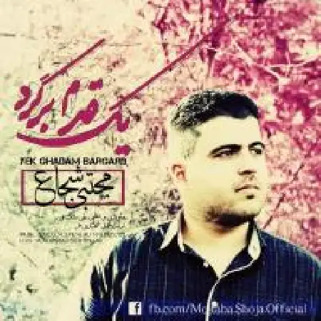 دانلود اهنگ مجتبی شجاع یک قدم برگرد