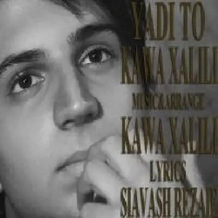دانلود اهنگ کاوه خلیلی یادی تو