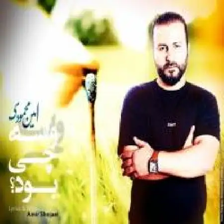 دانلود اهنگ امین محمودی واسه چی بود
