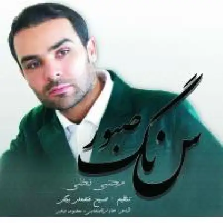 دانلود آلبوم سنگ صبور از مجتبی نخلی