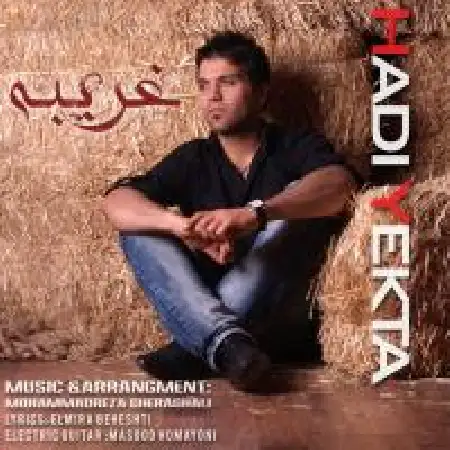 دانلود اهنگ هادی یکتا غریبه