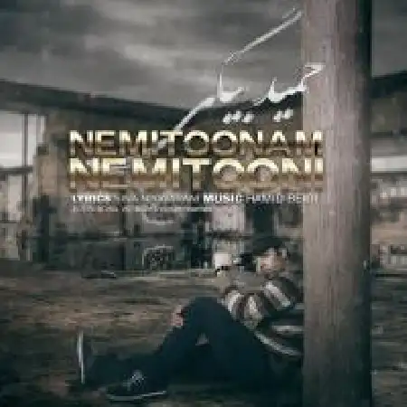 دانلود اهنگ حمید بیگی نمیتونم نمی تونی