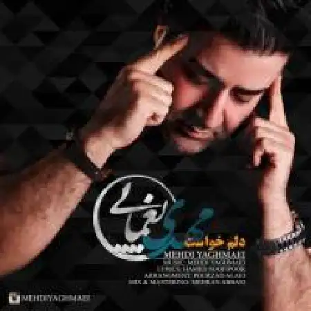 دانلود اهنگ مهدی یغمایی دلم خواست