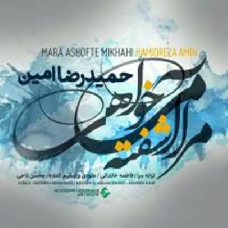 دانلود اهنگ حمیدرضا امین مرا آشفته می خواهی