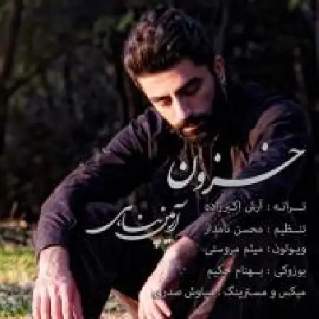 دانلود آلبوم تک اهنگ ها از آرمین پناهی