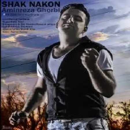 دانلود اهنگ امین رضا قربی شک نکن