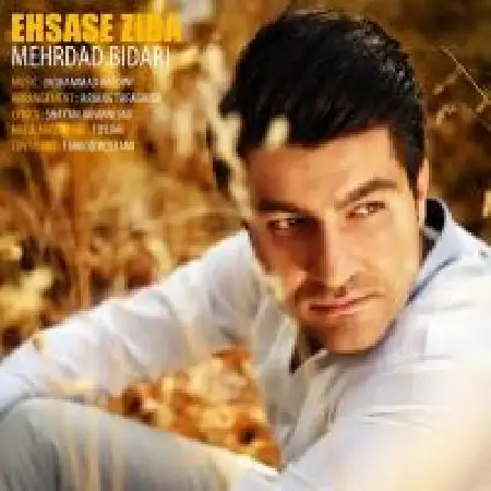 دانلود اهنگ مهرداد بیداری احساس زیبا