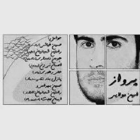 دانلود اهنگ امین مولایی پرواز