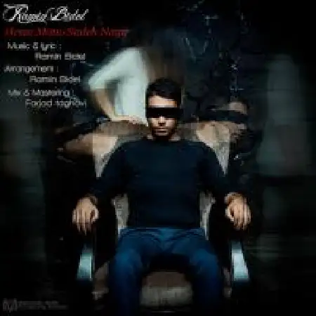 دانلود آلبوم تک اهنگ ها از رامین بیدل