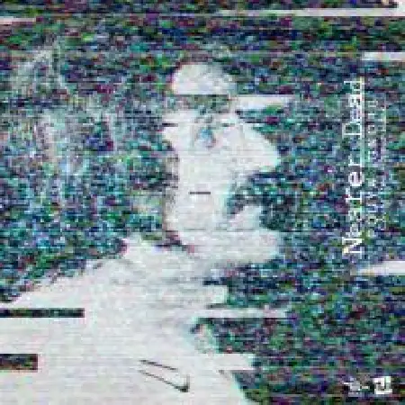 دانلود آلبوم تک اهنگ ها از پویا ایگنور