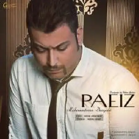 دانلود اهنگ محمدرضا درگاهی پاییز