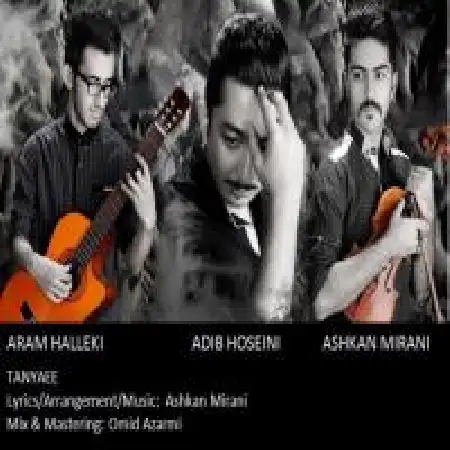 دانلود آلبوم تک اهنگ ها از ادیب حسینی