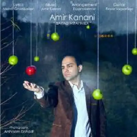 دانلود اهنگ امیر کنعانی باید میفهمیدی