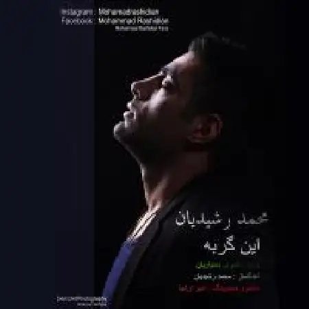 دانلود اهنگ محمد رشیدیان این گربه