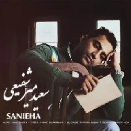 دانلود اهنگ سعید میرشفیعی ثانیه ها