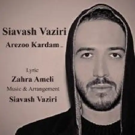 دانلود اهنگ سیاوش وزیری آرزو کردم