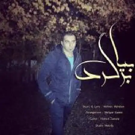 دانلود آلبوم تک اهنگ ها از مهران مهدیان