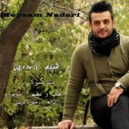 دانلود اهنگ میثم نادری برگرد