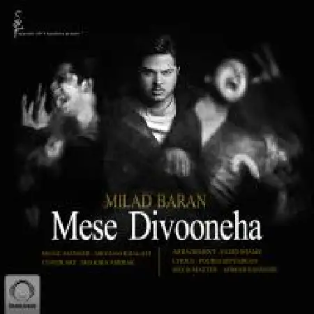 دانلود اهنگ میلاد باران مثل دیونه ها