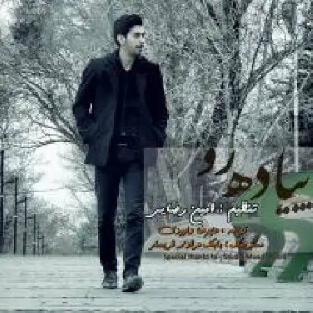 دانلود اهنگ امین رضایی پیاده رو