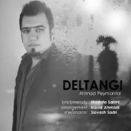 دانلود اهنگ احمد پیمان فر دلتنگی