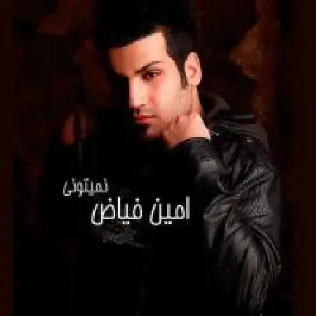 دانلود اهنگ امین فیاض نمیتونی