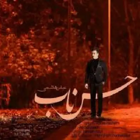 دانلود اهنگ عباس هاشمی حس ناب