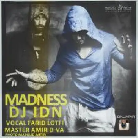 دانلود اهنگ دی جی آیدین Madness