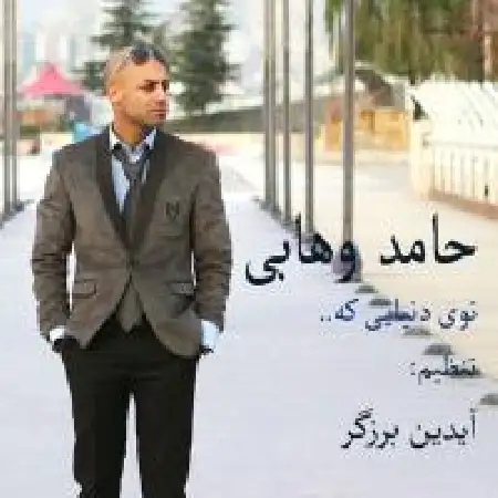 دانلود اهنگ حامد وهابی تو این دنیا