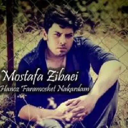 دانلود اهنگ مصطفی زیبایی هنوز فراموشت نکردم