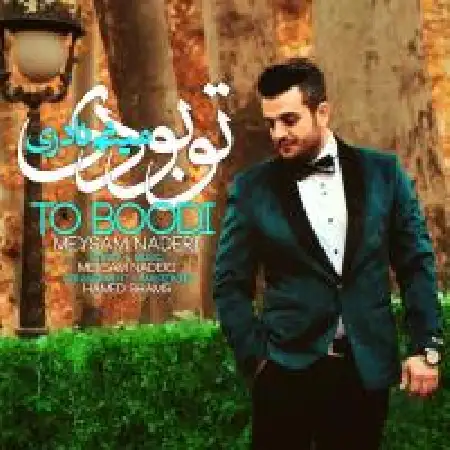 دانلود اهنگ میثم نادری تو بودی