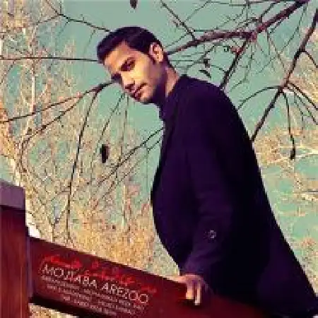 دانلود اهنگ مجتبی آرزو من عاشقش هستم