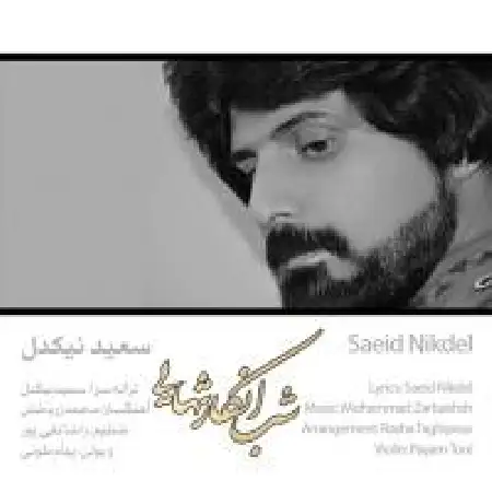 دانلود اهنگ سعید نیکدل شب انکار تنهایی