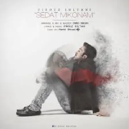 دانلود اهنگ پیروز سلطانی صدات میکنم