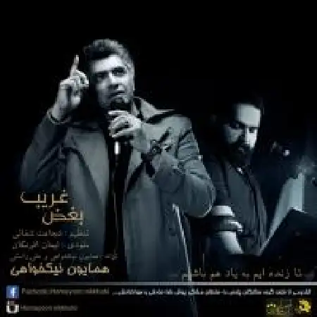 دانلود آلبوم تک اهنگ ها از همایون نیک خواهی