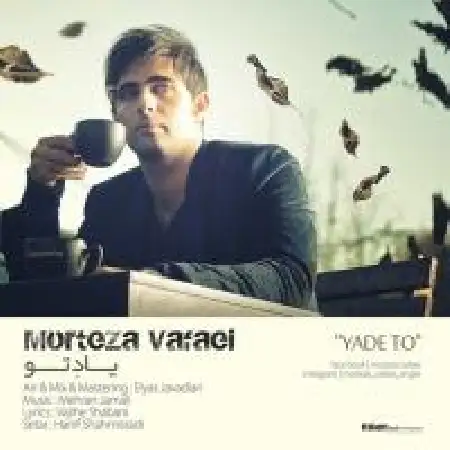 دانلود آلبوم تک اهنگ ها از مرتضی وفایی