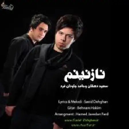 دانلود آلبوم تک اهنگ ها از سعید دهقان