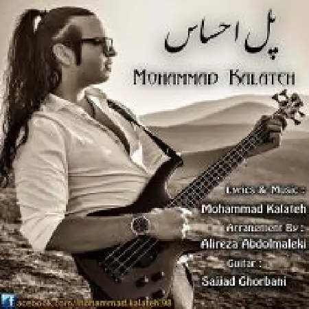 دانلود آلبوم تک اهنگ ها از محمد کلاته