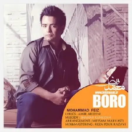 دانلود اهنگ محمد فیض برو