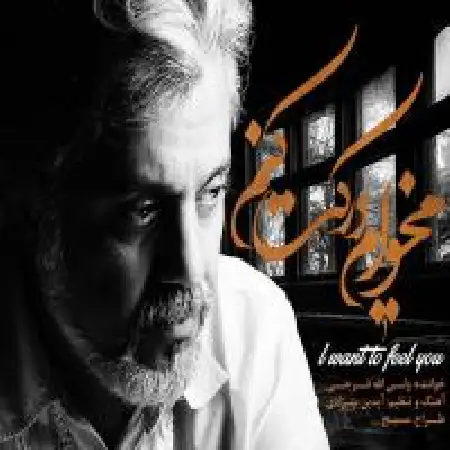 دانلود آلبوم تک اهنگ ها از ولی اله فرجی