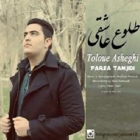 دانلود آلبوم تک اهنگ ها از پارسا تمجیدی