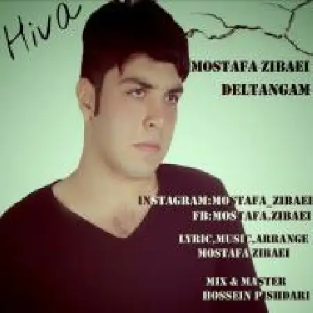 دانلود اهنگ مصطفی زیبایی دلتنگم
