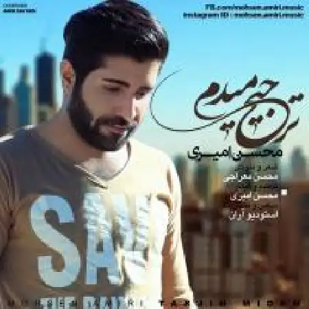 دانلود اهنگ محسن امیری ترجیح میدم