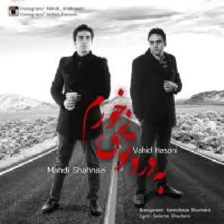 دانلود اهنگ مهدی شهنازی به درد تو نمیخورم با حضور وحید حسنی